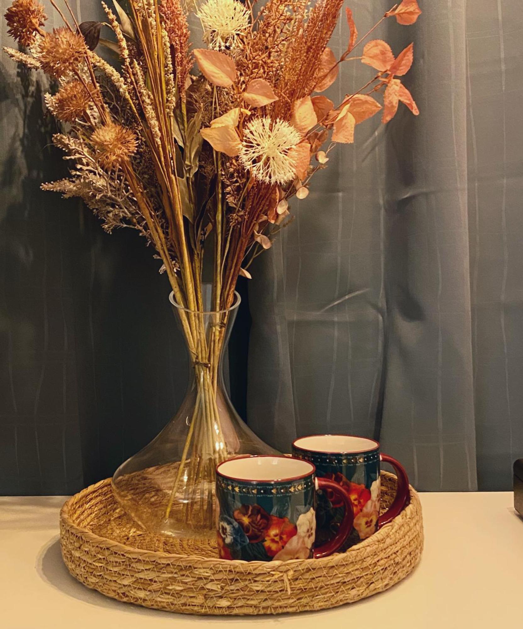 Blush Jungle - Homestay Dublin Eksteriør bilde